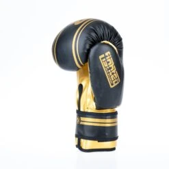 Fighter Boxing Gloves Basic Stripe - Black/gold -Fighters Europe Shop 1376APU BG03