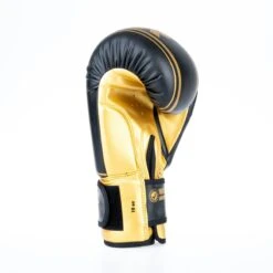 Fighter Boxing Gloves Basic Stripe - Black/gold -Fighters Europe Shop 1376APU BG07