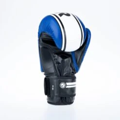 Fighter Boxing Gloves Basic Stripe - Blue -Fighters Europe Shop 1376APU BW07