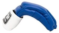 Top Ten MMA Gloves Striking C-Type - Blue/white, 23351-61 -Fighters Europe Shop 409f0942b43f3378617f2245dbc195d8