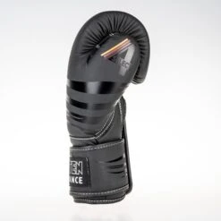 Top Ten Boxing Gloves 4Select - Black, 2244-90 -Fighters Europe Shop 8fa61e14cb1f32ea5bb2a7f9f5c49240