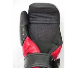 Pointfighter TOP TEN Glossy BLOCK Star - Black/red, 21655-94 -Fighters Europe Shop 93be1b879f7a9ae1782dcf8608118b62