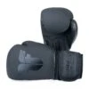 Fighter Boxing Gloves SPLIT Stripes - Black