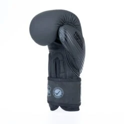 Fighter Boxing Gloves SPLIT Stripes - Black -Fighters Europe Shop FBG 001 SBK03