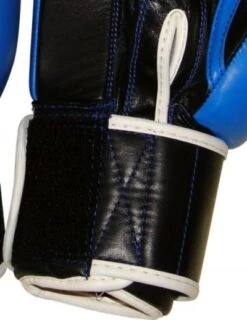 Top Ten Competition Boxing Gloves Olympia - Blue, 2011-6 -Fighters Europe Shop d1a7845c1f0049d2b42bd57c8920d9b6