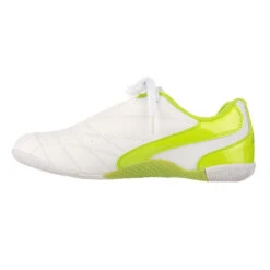 Budo Shoes Daedo KICK - White/green, ZA3140 -Fighters Europe Shop ed9df33a3bd714ac018a8341efcaf2c4