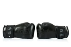 Fairtex Boxing Gloves Booster Series - Black -Fighters Europe Shop fairtex booster black on black4