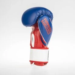 Fighter Boxing Gloves SPEED - Tricolor, TH1612PUBLR -Fighters Europe Shop fighter 2020 155