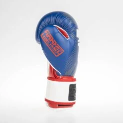 Fighter Boxing Gloves SPEED - Tricolor, TH1612PUBLR -Fighters Europe Shop fighter 2020 156