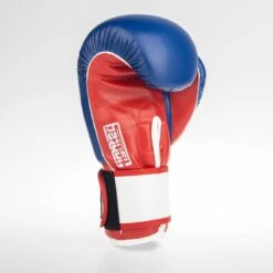 Fighter Boxing Gloves SPEED - Tricolor, TH1612PUBLR -Fighters Europe Shop fighter 2020 160