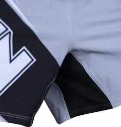 Top Ten MMA Shorts Fight Team - Gray -Fighters Europe Shop top ten mma short fight team gray 18154 f detail3 2